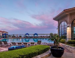 Hilton Dallas Rockwall Lakefront Havuz