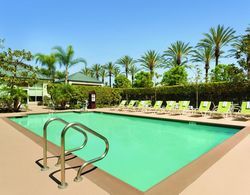 Hilton Garden Inn Anaheim/Garden Grove Havuz