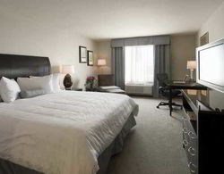 Hilton Garden Inn Dallas Lewisville  Genel