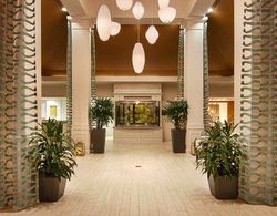 Hilton Garden Inn Houston/Galleria Area Genel