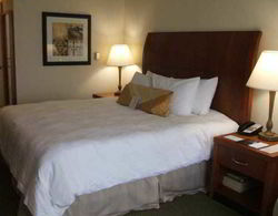 Hilton Garden Inn Memphis/Southaven, MS Genel