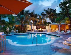 Hilton Garden Inn Miami Brickell South Havuz