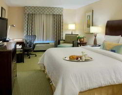 Hilton Garden Inn Mobile West I-65/Airport Bl  Genel