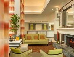 Hilton Garden Inn Orlando East/UCF Genel