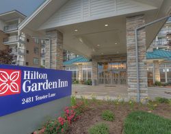 Hilton Garden Inn Pigeon Forge, TN Genel