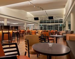 Hilton Garden Inn Rome Airport Genel