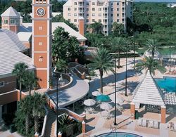 Hilton Grand Vacations Club at Seaworld Orlando Havuz