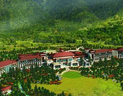 Hilton Linzhi Resort Genel