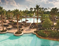 Hilton Orlando Bonnet Creek Disney World Havuz