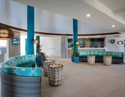 Hilton Vacation Club Royal Palm St. Maarten Genel