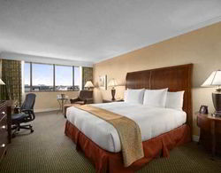Hilton Washington DC/Rockville Hotel&Executive  Genel