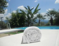 Historic Villa in Rignano Sull'arno-fi With Swimming Pool İç Mekan