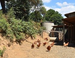 Holiday Farm Situated Next to the Kellerwald-edersee National Park With a Sunbathing Lawn Dış Mekanlar