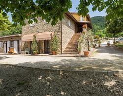 Holiday Home in Assisi With Pool,terrace,garden,sun-loungers Dış Mekan