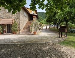 Holiday Home in Assisi With Pool,terrace,garden,sun-loungers Dış Mekan