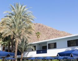 Holiday House Palm Springs Dış Mekan