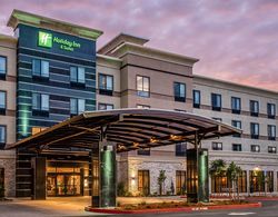 Holiday Inn Hotel and Suites Silicon Valley - Milp Genel