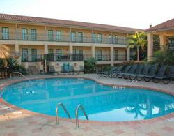 Holiday Inn Hotel and Suites Tampa N Busch Gardens Havuz