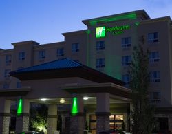 Holiday Inn Hotel and Suites West Edmonton Genel
