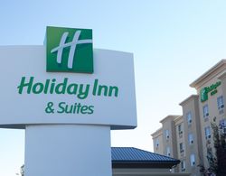 Holiday Inn Hotel and Suites West Edmonton Genel