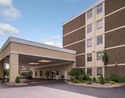 Holiday Inn Auburn-Finger Lakes Region  Genel