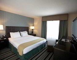 Holiday Inn Express Airport Old Town Oda