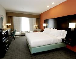 Holiday Inn Express and Suites Austin South Genel
