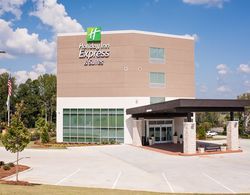 HOLIDAY INN EXPRESS AND SUITES BIRMINGHAM NORTH - Genel