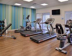HOLIDAY INN EXPRESS AND SUITES BRIGHTON SOUTH - US Aktiviteler