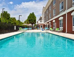 Holiday Inn Express and Suites Dothan North Havuz