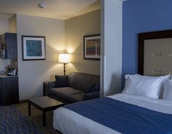 Holiday Inn Express and Suites Edwardsville Genel