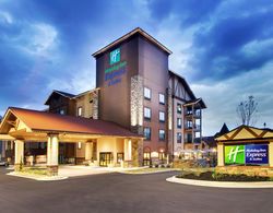Holiday Inn Express and Suites Helen Genel