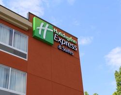 Holiday Inn Express and Suites Hendersonville SE-F Genel