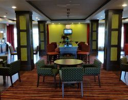 Holiday Inn Express and Suites Houston East Baytow Genel