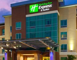 Holiday Inn Express and Suites Houston S Medical C Genel