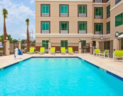 Holiday Inn Express and Suites Houston S Medical C Havuz