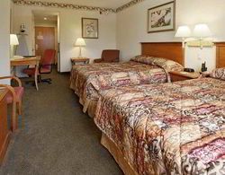 Holiday Inn Express and Suites Jacksonville SE Med Oda