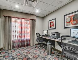 Holiday Inn Express and Suites Lubbock South Genel