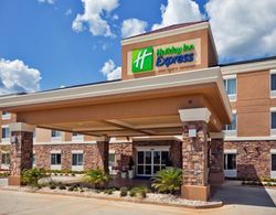 Holiday Inn Express and Suites McAllen - Medical C Genel