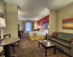 Holiday Inn Express and Suites NEW MARTINSVILLE Genel