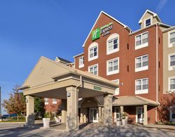 Holiday Inn Express and Suites St. Louis West O Fa Genel