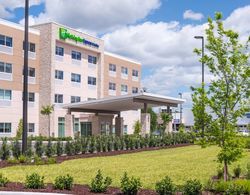 Holiday Inn Express and Suites Tampa North - Wesle Genel