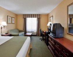 Holiday Inn Express and Suites Williamsburg Genel