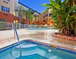 Holiday Inn Express Clearwater-Gateway Area  Havuz