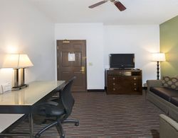Holiday Inn Express Hotel&Suites Chicago  Genel