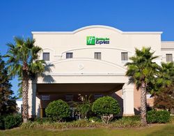 Holiday Inn Express Hotel&Suites Clearwater/US1 Genel