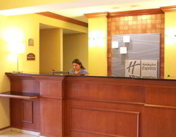 Holiday Inn Express Hotel&Suites Tampa-Fairgrou Lobi