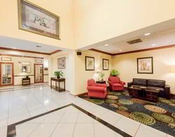 Holiday Inn Express Hotel&Suites Tampa-Fairgrou Lobi