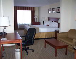 Holiday Inn Express Hotel&Suites Tampa-Fairgrou Oda