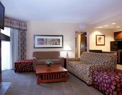 Holiday Inn Express Hotels & Suites Washington-North Saint George Genel